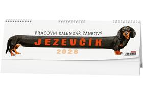 Obrazek_1