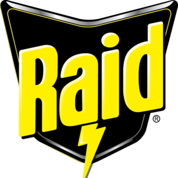 raid.png